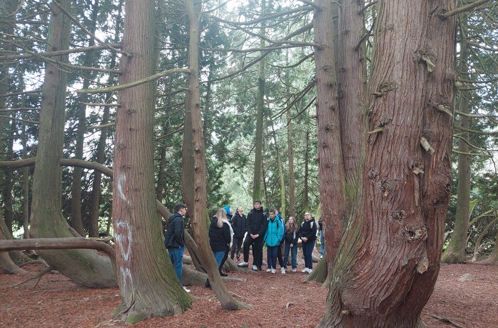 ŠKOLA U PRIRODI U SREDNJOJ ŠKOLI ARBORETUM OPEKA ZA UČENIKE SEDMIH RAZREDA