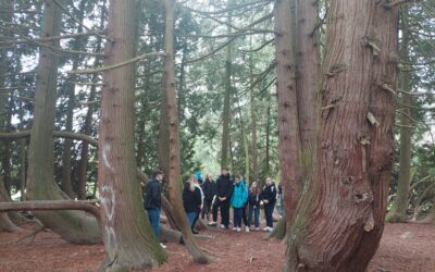 ŠKOLA U PRIRODI U SREDNJOJ ŠKOLI ARBORETUM OPEKA ZA UČENIKE SEDMIH RAZREDA