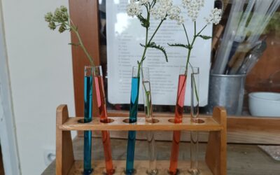 PROVEDBA PROJEKTA ČUDESNI LABORATORIJ