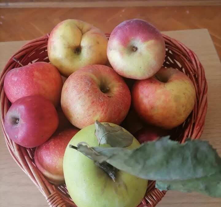 Dan zdravog doručka i Dan jabuka u PŠ Ladanje Gornje