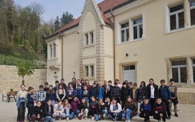 Projekt Dvorci pričaju priče