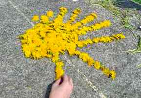 Plesna haljina žutog maslačka na školskoj livadi