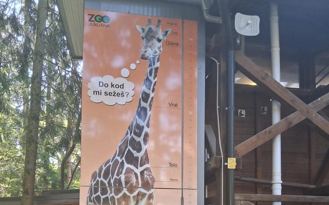 Završna ekskurzija za učenike koji pohađaju nastavu slovenskog jezika i kulture