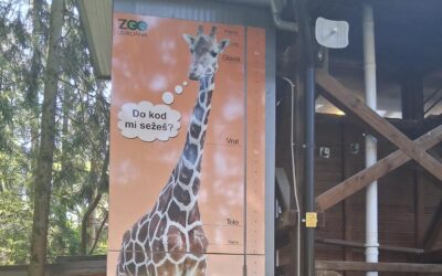 Završna ekskurzija za učenike koji pohađaju nastavu slovenskog jezika i kulture