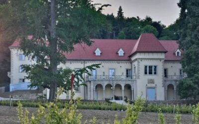 Učenici Područne škole Ladanje Gornje na izvanučioničkoj nastavi u Arboretumu Opeka